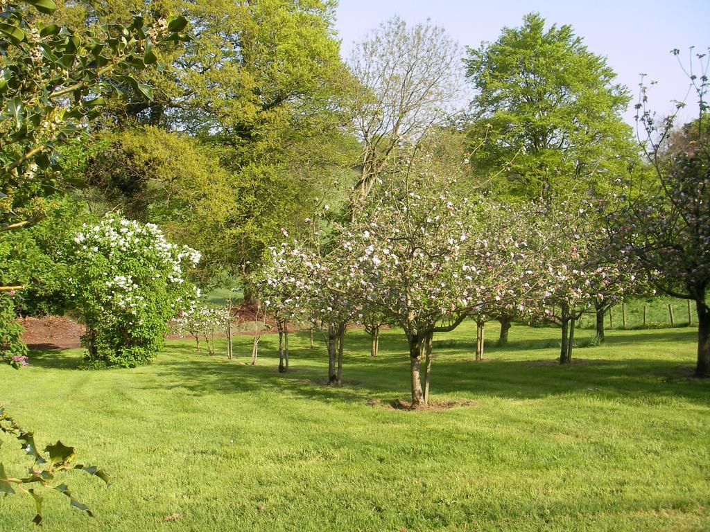 Grange Lodge Country House Dungannon Luaran gambar